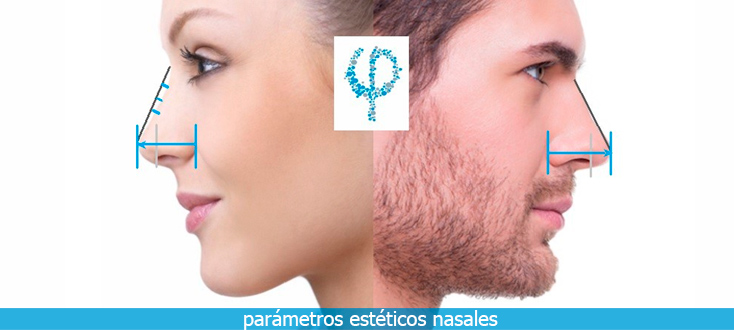 Parámetros estéticos nasales